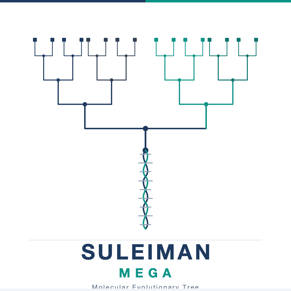 Suleiman MEGA Logo